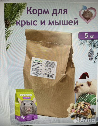 Мучной червь