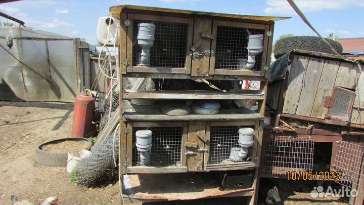 Клетки для кроликов бу