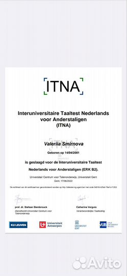 Репетитор по английскому и нидерландскому языкам