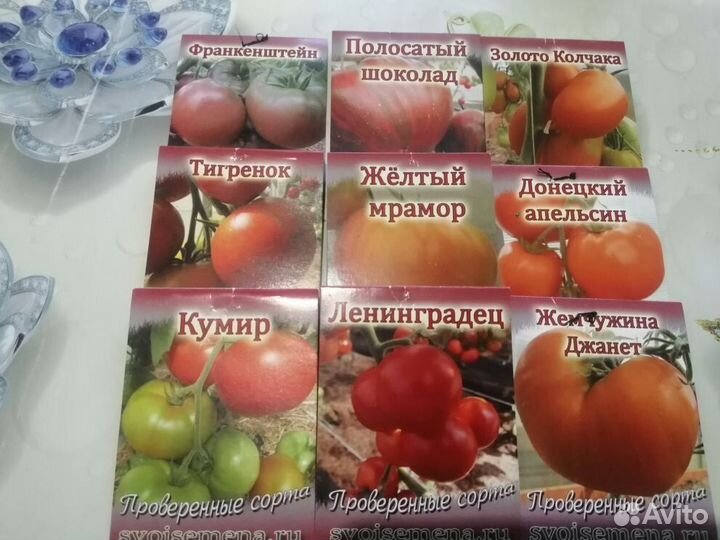 Рассада коллекционных томатов
