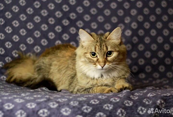 Тина мечтает о любви