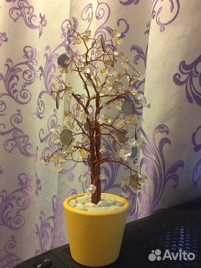 Бонсай Цитрин