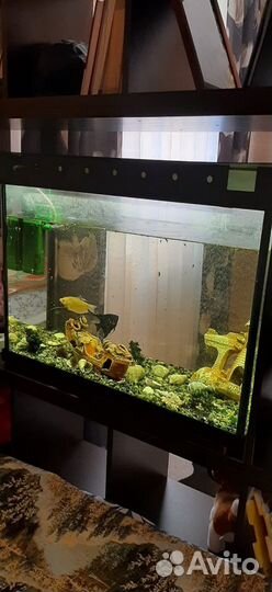 Аквариум