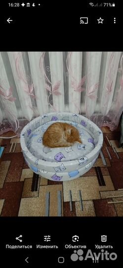 Лежанка для кошек