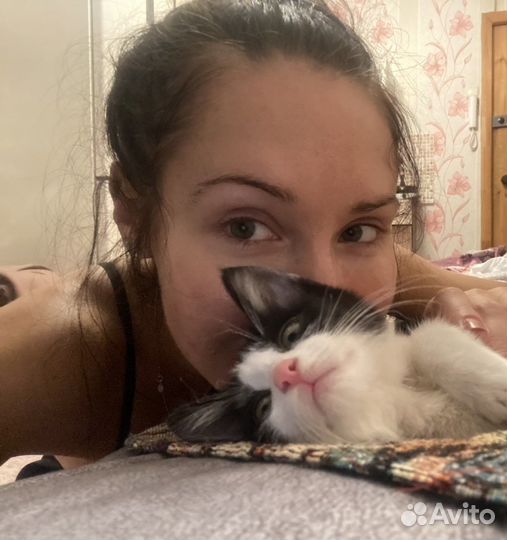 Домашняя передержка животных