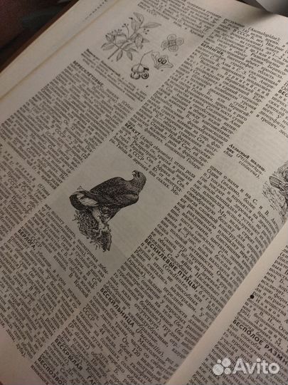 Медицинская литература(раритет)