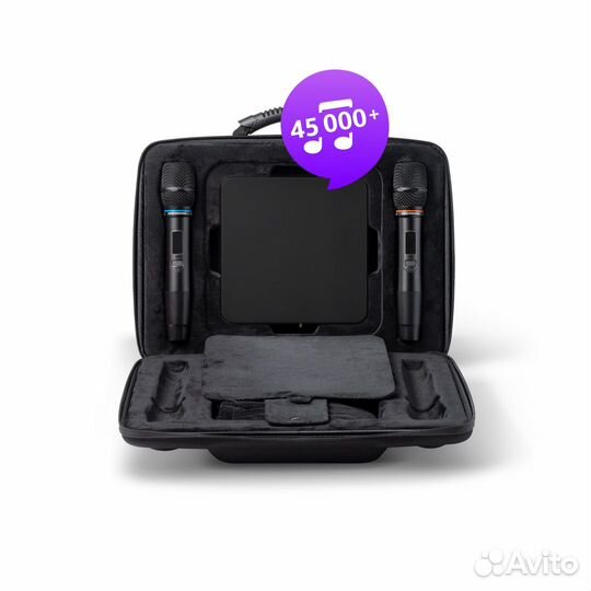 Караоке EvoBox Plus с микрофонами и EvoCase(Новая)