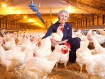 Объявление вахта. Работа в башкирии с проживанием. Ферма кфх. Работа вакансии. Приглашаем на работу.