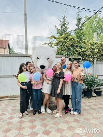 Белый мишка на поздравление