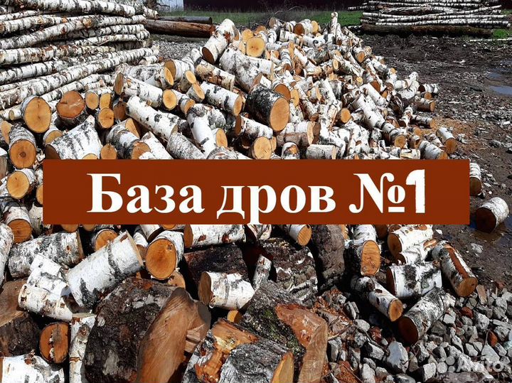 Дрова колотые