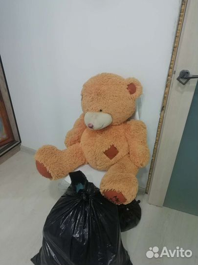 Большой мишка Тедди