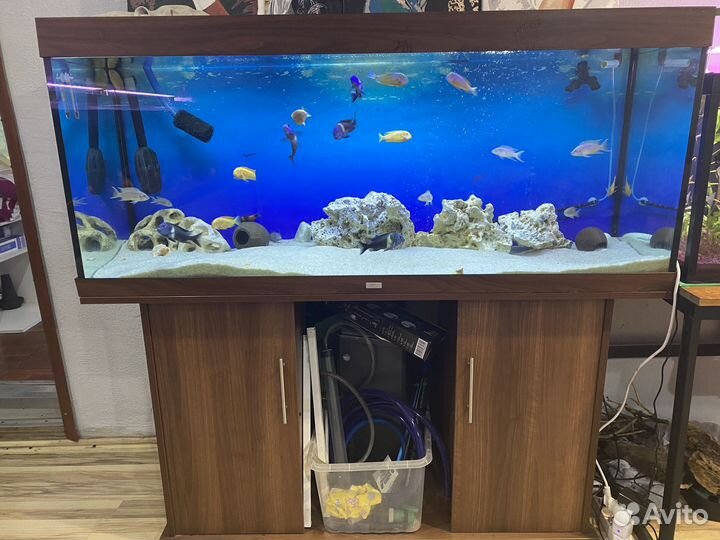 Аквариум в комплекте