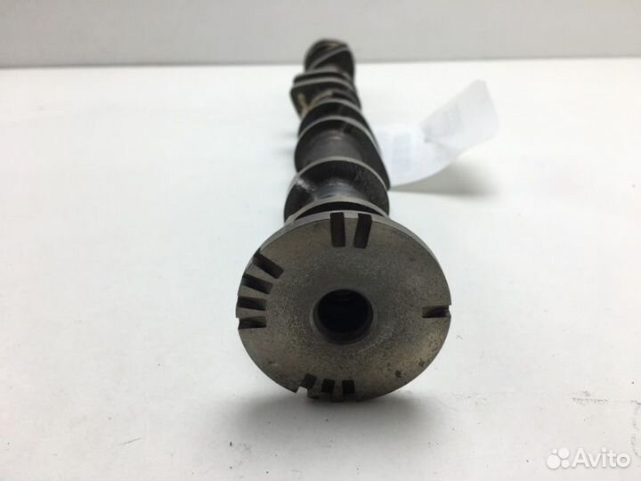 Распредвал впускной Nissan Teana J31 QR20DE 2006