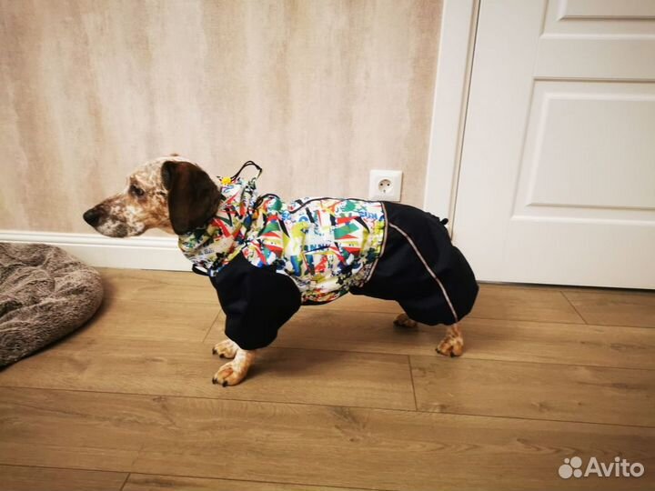 Пошив одежды для собак