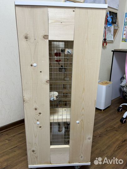 Витрина для шиншиллы