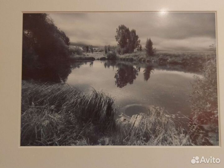 Рамка 54*44см с паспорту и фотографиями