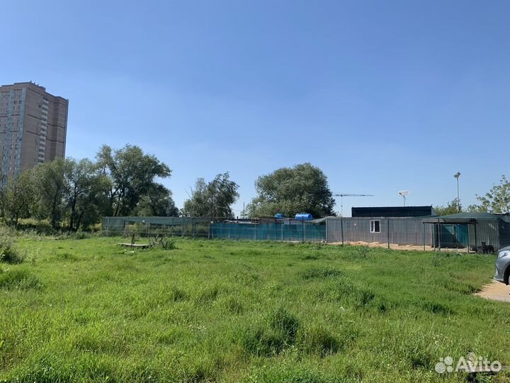 Ветеринарный врач в приют