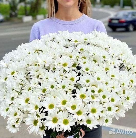 Хризантема Букеты доставка цветов
