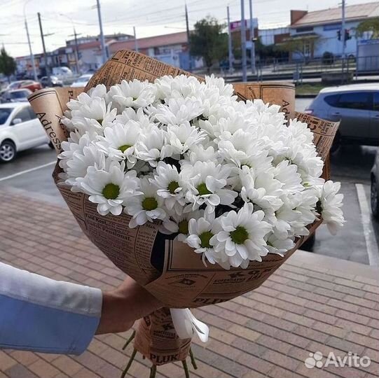 Хризантема. Букеты Цветы доставка