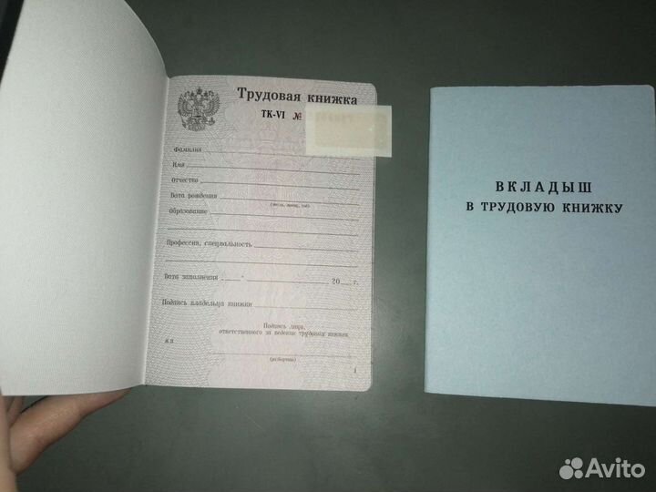 Трудовая книжка и вкладыш