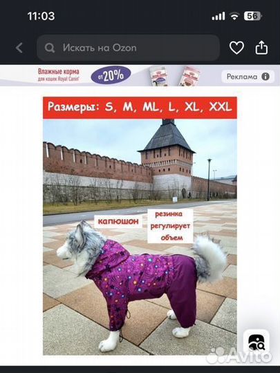 Комбинезон дождевик для собак размер L