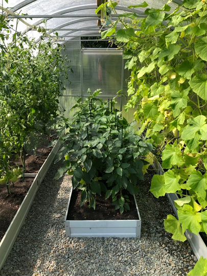 Дача 24 м² на участке 4 сот.