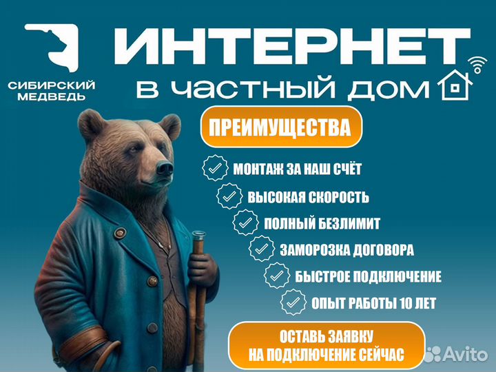 Проводной Интернет в Частный дом Сибирский Медведь