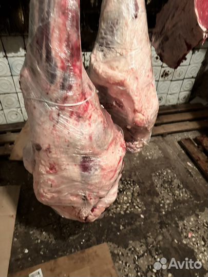 Мясо говядина