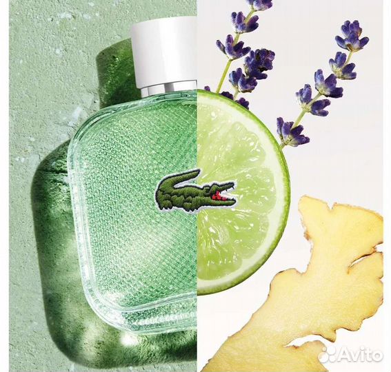 Духи, парфюм Lacoste L.12.12 Blanc Eau Fraiche