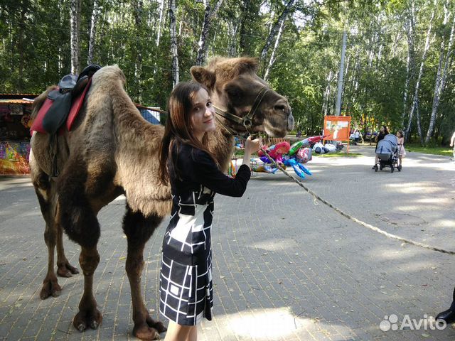 Репетитор по немецкому языку