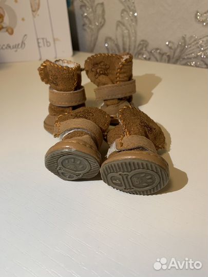 Одежда и обувь для собак