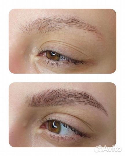 Администратор-бровист