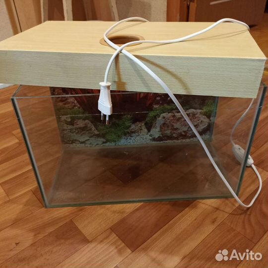 Аквариум