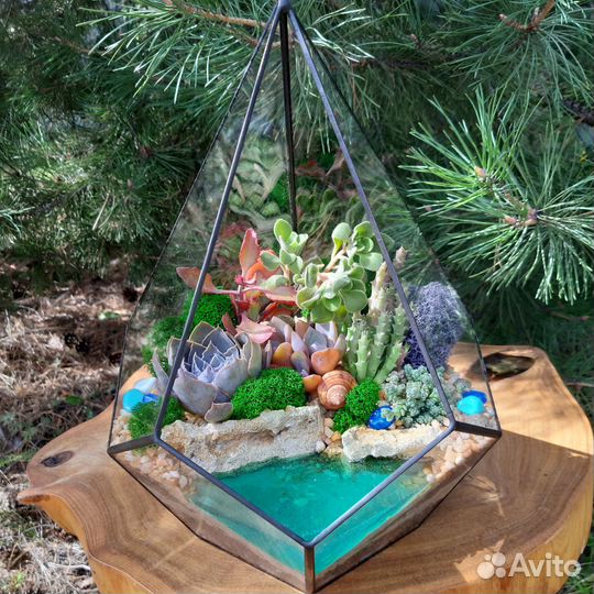 Флорариум большой