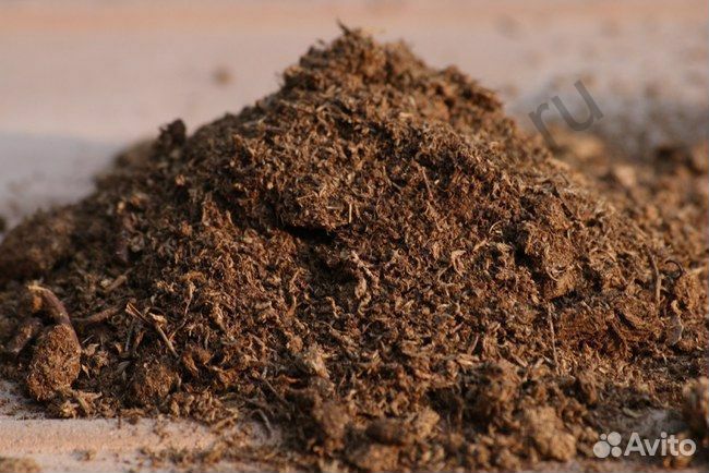 Куриный навоз