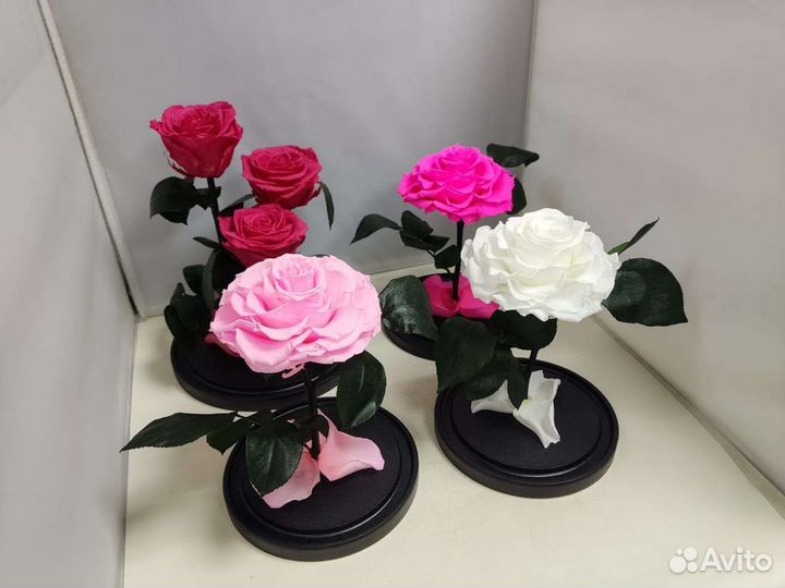 Цветы оптом