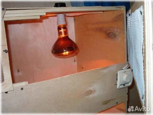 Лампа икзк 250вт е27 инфракрасная для животных