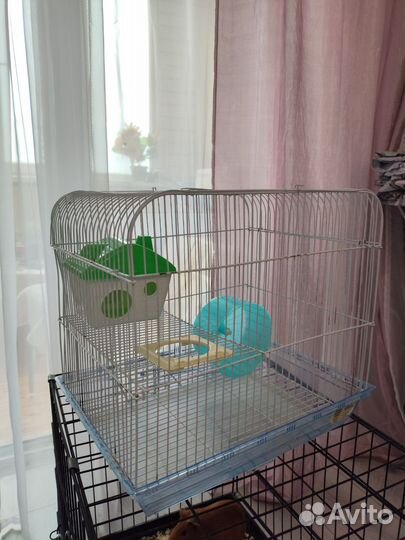 Клетка для грызунов бу