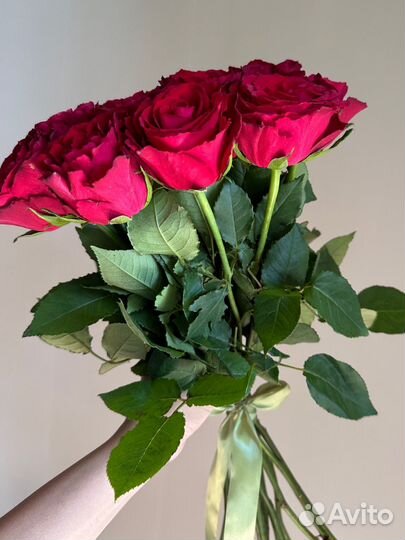 Розы красные 50см,доставка цветов