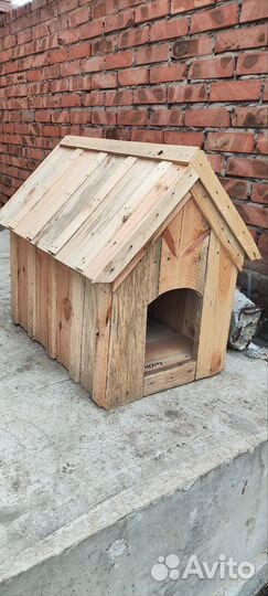 Собачья будка