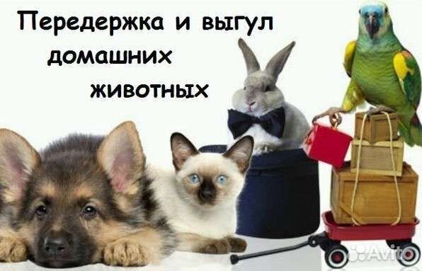 Уход за животными