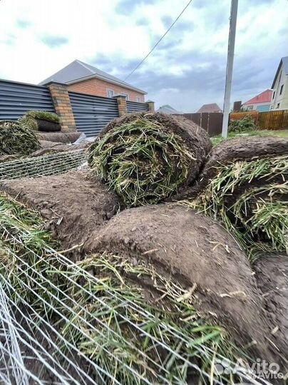 Газон, Автополив, Ландшафтный дизайн от производит