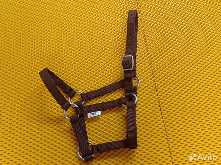 Недоуздок для Лины