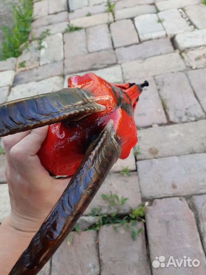 Череп с аэрографией Анархия