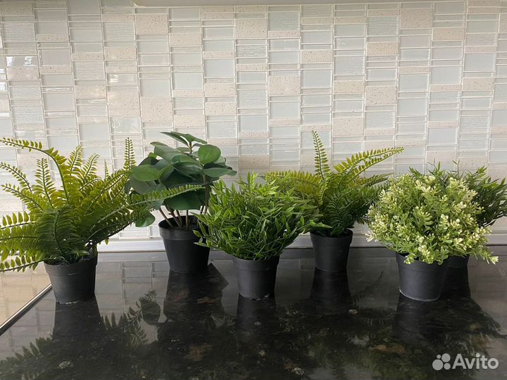 Искусственные растения IKEA фейка