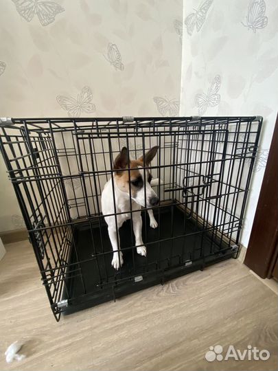 Клетка для собак номер 2
