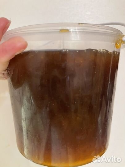 Мед дягелевый алтайский