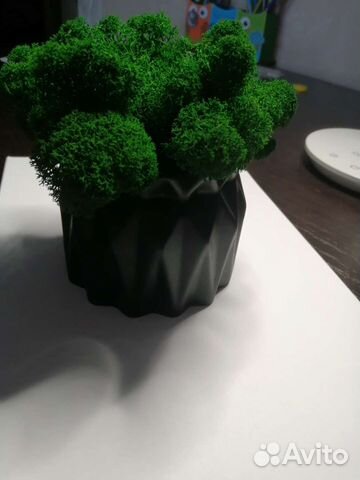 Кашпо из гипса со мхом