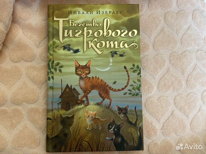 Бегство Тигрового кота(Инбали Изерлес)