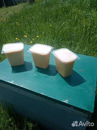 Трутневый гомогенат (чистый)